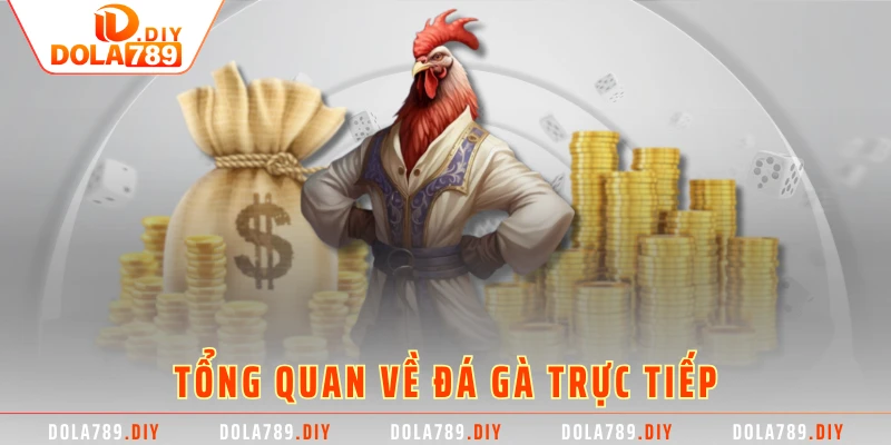 Tổng quan về đá gà trực tiếp