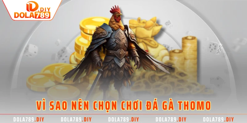 Vì sao nên chọn chơi đá gà thomo